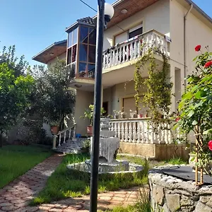 Gather Shkoder